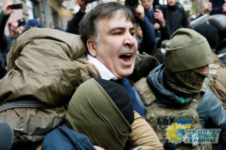 Николай Азаров о задержании Саакашвили