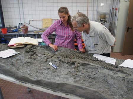 Палеонтологи нашли цветущий сад Мезозойской эры в Антарктиде