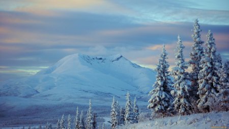 Ученые: Снега на Аляске стало в 2 раза больше из-за глобального потепления
