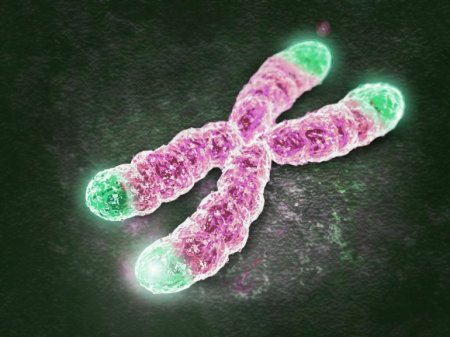 Алкоголь разрушает хромосомы и приводит к мутациям стволовых клеток – исследование 