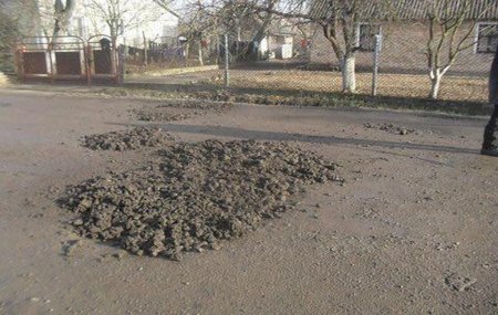 Не от кого ждать помощи: жители Львовщины сами ремонтируют дороги