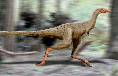 В Узбекистане учёные нашли останки древних динозавров