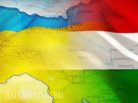 Языковой конфликт: Венгрия выдвинула условия Украине