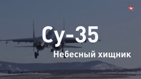 Небесный хищник: новейший истребитель ВКС Су-35 за 60 секунд