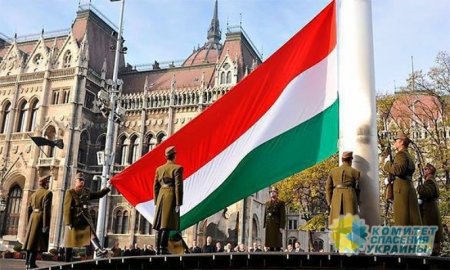 Украинского посла вызвали в МИД Венгрии за поджоги в Ужгороде