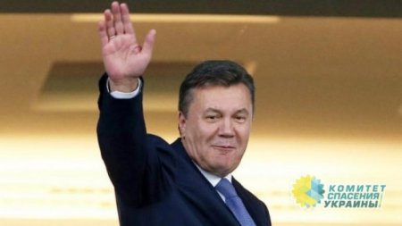 Янукович вернется в украинскую политику?