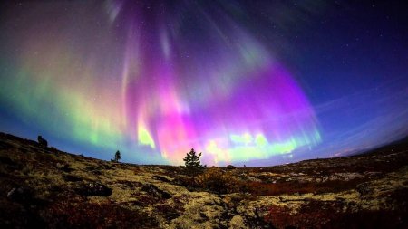Ученые рассекретили происхождение фиолетовых «радуг» в небе Арктики