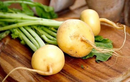 Что на Руси выращивали в огороде до картошки