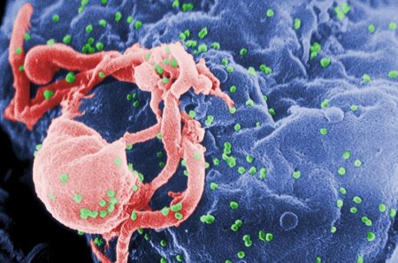 Ученые: Создана вакцина, защищающая от 30% штаммов ВИЧ