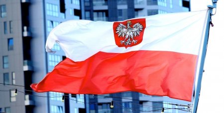 Польша потребует объяснений насчет избиения дипломата в России