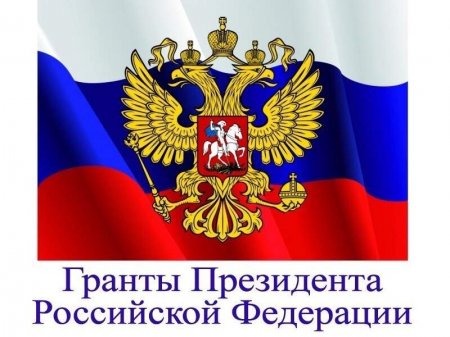 Гражданское общество в России развивается при поддержке государства