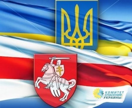 Украина уступила Беларуси по уровню реальных зарплат