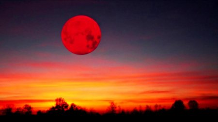 Очевидцы со всего мира делятся уникальными кадрами Кровавой Луны
