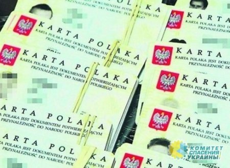 За 10 лет более 100 тыс. украинцев получили «карту поляка»