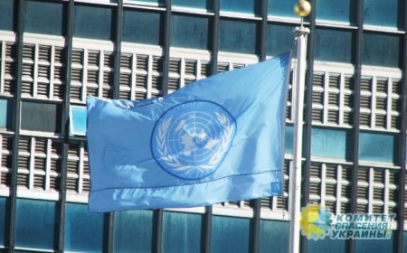 ООН обеспокоена неэффективностью расследований нарушений прав человека на Украине