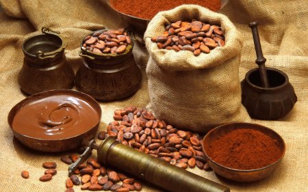 Ученые: Какао - мощнейший источник витамина D