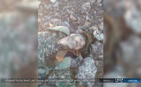 Сирийские военные понесли потери в очередной засаде ИГ на плато Ас-Сафа