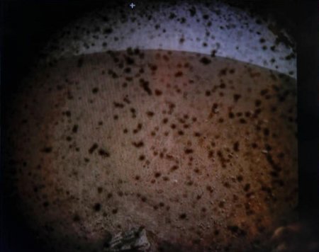 «Ложь»: Зонд InSight сел на Нибиру, а NASA кормит людей старыми фото Марса – мнение