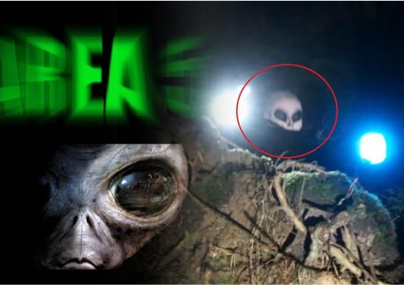 Пришельцы Зоны-51 уже в России: Беглец напугал местных в лесу