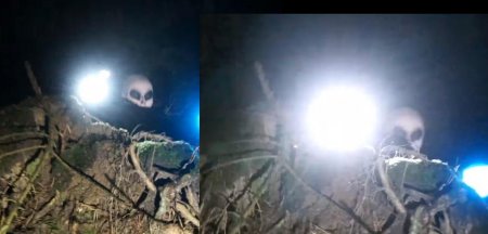 Пришельцы Зоны-51 уже в России: Беглец напугал местных в лесу