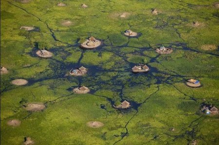 В болотах Карелии обнаружили город пришельцев: Фотографии с квадрокоптера потрясли уфологов