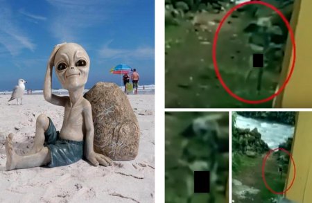 Турист-нудист с Нибиру в Крыму - Голого пришельца снял на камеру грибник