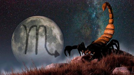 Одиночество, болезнь и бедность: Точно не «светит» Скорпионам на этой неделе – астролог