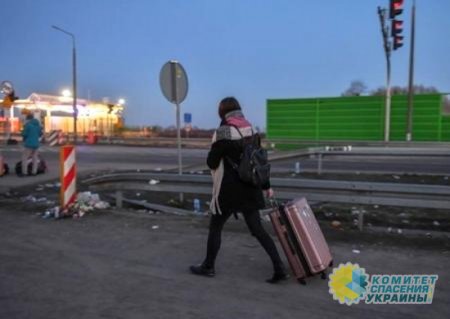 Польские консульства возобновили выдачу рабочих виз украинцам