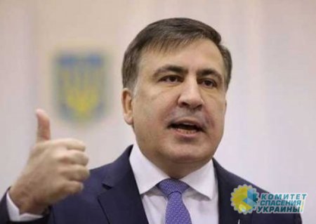 Саакашвили раскритиковал правительство Шмыгаля
