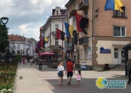 В Тернополе день Конституции отмечали под красно-черным знаменем ОУН