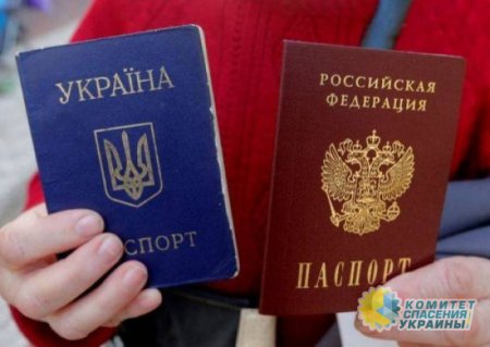 В Минреинтеграции Украины посчитали количество паспортов РФ, выданных жителям ЛДНР