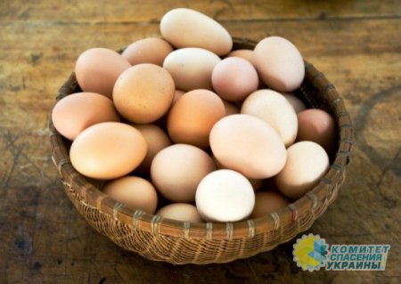 Кто виновен в подорожании куриных яиц в Украине?