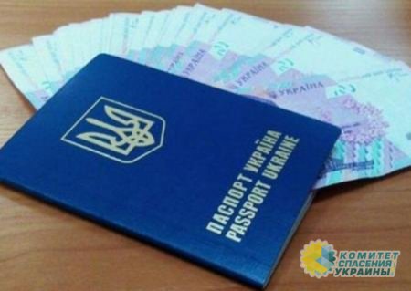 «Экономический паспорт украинца»