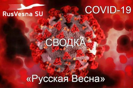 На 10 тыс. заражений ниже пика: коронавирус в России