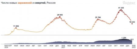 Минимальный прирост заражений за 3,5 месяца: коронавирус в России