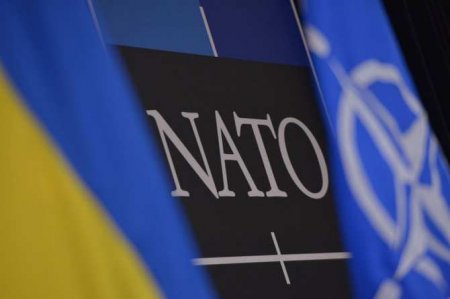 НАТО созывает экстренное заседание из-за Украины