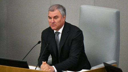 Володин назвал правильным сохранение смертной казни в ДНР