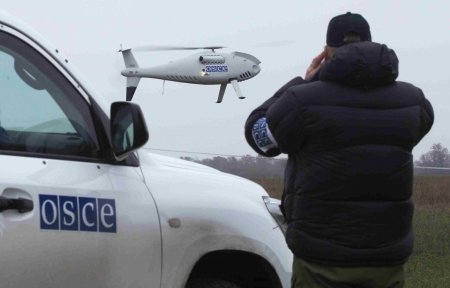 ОБСЕ обвинили в имитации разрешения конфликта в Донбассе