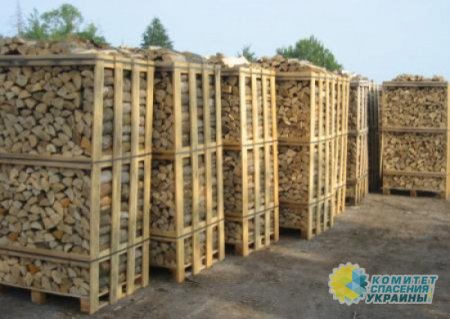 Зимой Украина согреет Евросоюз дровами