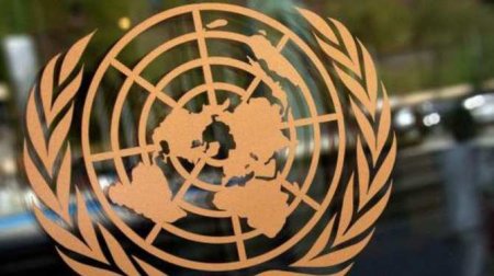Шольц просит для Германии места в Совбезе ООН