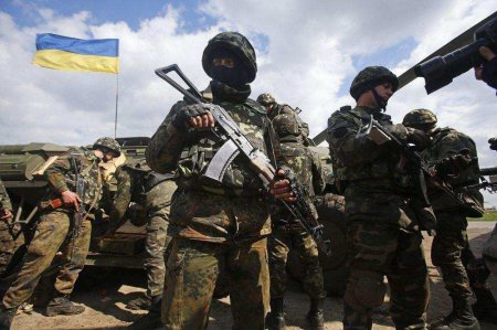 Украина готовит до 50 тыс. боевиков, чтобы начать контрнаступление — NYT