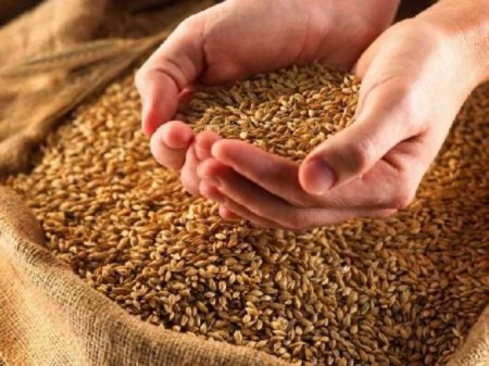 Не устраивают: Москва оценила предлагаемые условия по «зерновой сделке»