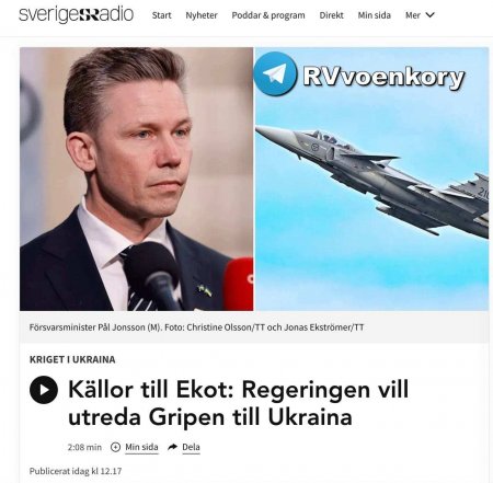 В Швеции рассмотрят возможность передачи Украине истребителей Gripen