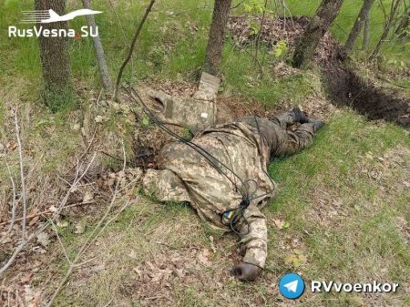 Бои на фронте у Артёмовска: спецназ уничтожает пехоту врага (ВИДЕО 18+)