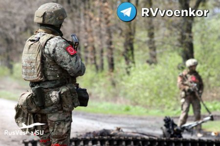 Бои у Белогоровки: 7-я бригада активно уничтожает врага (ВИДЕО)