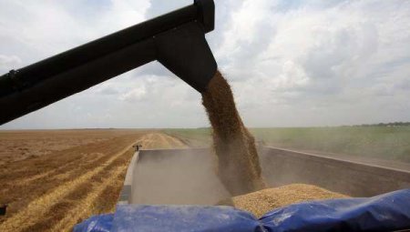 Десятки миллионов тонн: в Минсельхозе озвучили прогноз по годовому экспорту зерна