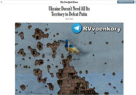 Победа в другом: «Украине не нужны все свои территории», — New York Times