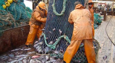 Россия запретит Британии ловить рыбу в своих водах