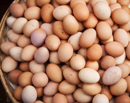 Импортные яйца не добрались до российских магазинов