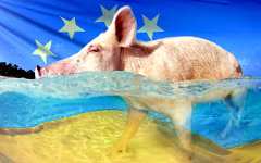 Страны ЕС требует ещё ужесточить импорт сельхозпродуктов с Украины